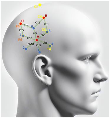 Identification of the human cerebral cortical hemodynamic response to passive whole-body movements using near-infrared spectroscopy